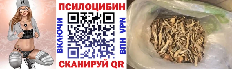 Псилоцибиновые грибы Psilocybine cubensis  Сусуман 